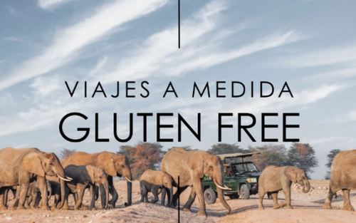 Viajes Gluten Free by Droom